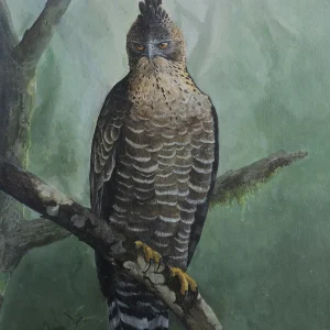 Silent Watcher