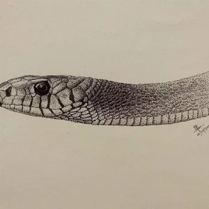 Snake