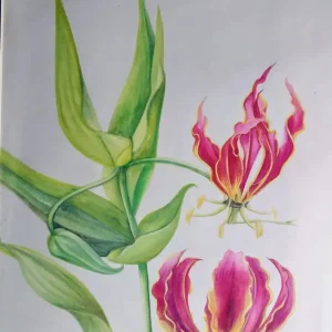 Fire Lilly