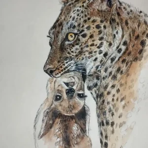 Lion Family